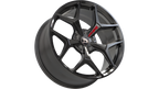 Director GTSR