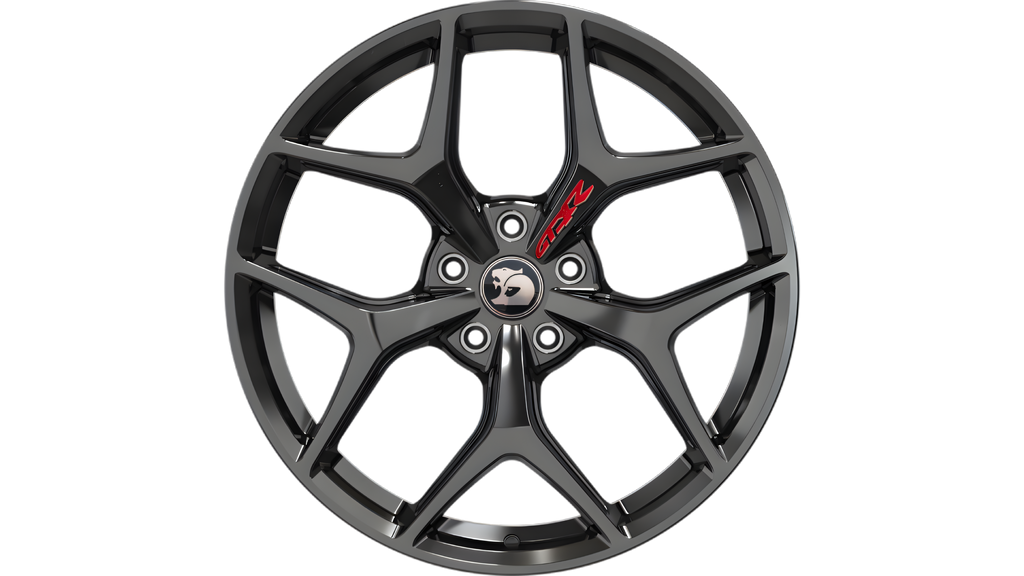 Director GTSR