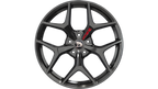 Director GTSR