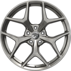 Director GTSR